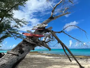 Shipwreck