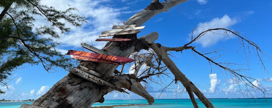 Shipwreck