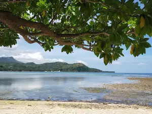 Mangrove Learning Center, West Celebes