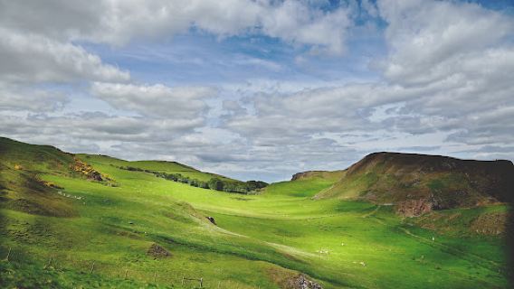 St Abbs Head