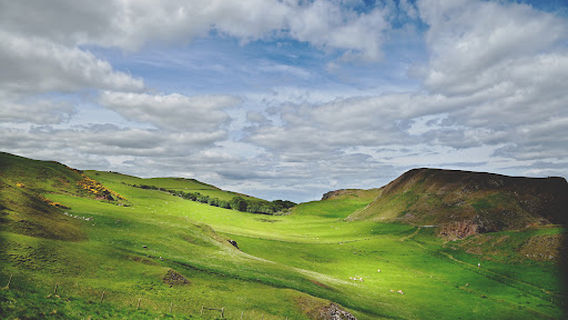St Abbs Head