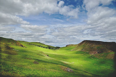 St Abbs Head