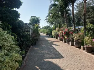 Mangrove Centre Tuban