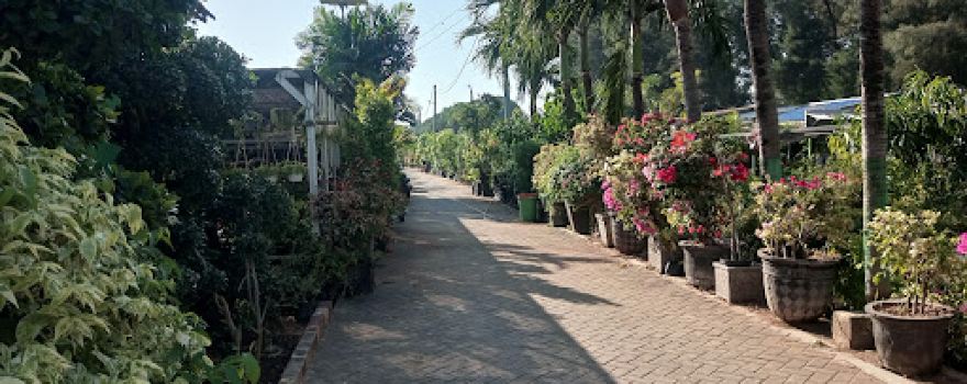 Mangrove Center Tuban
