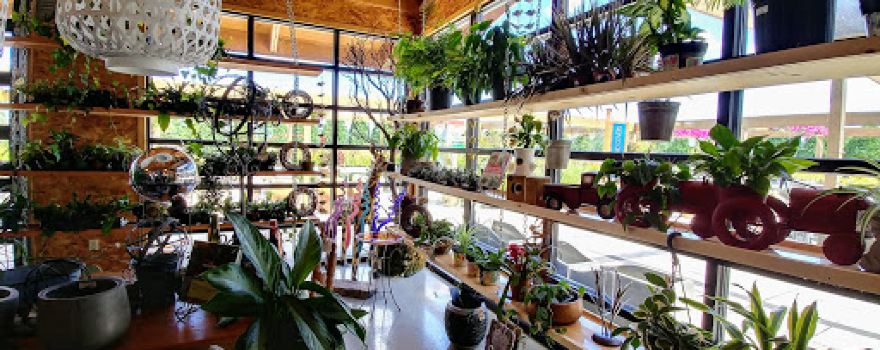 Ted Lare Design Build & Garden Center