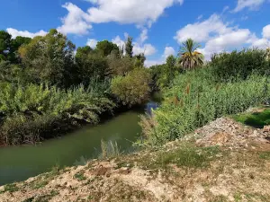 Fluvial Puente de Agramón Garden
