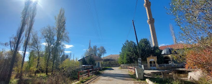 Asagi Tekke Koyu Muhtarligi