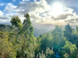 Round Mt Lookout