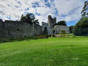 Mungret Park