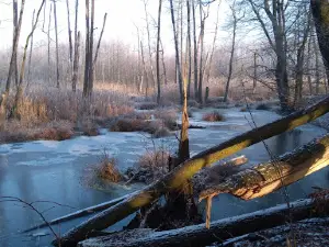 Park Słowiański, Szprotawa
