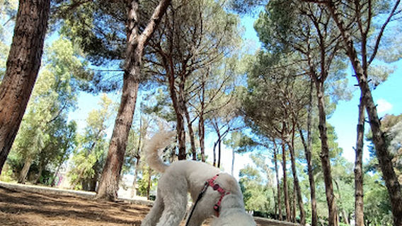 Parco Comunale Cesare Braico