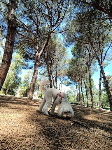 Parco Comunale Cesare Braico