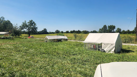 Webster County Fairgrounds