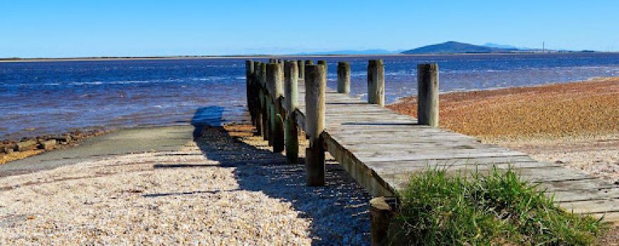 Awarua Bay