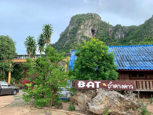 Bats View Point