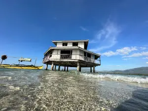 Bacala Guest House