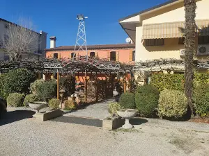 Antica Trattoria Antenore