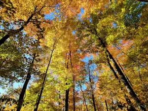 Englewood MetroPark East Park