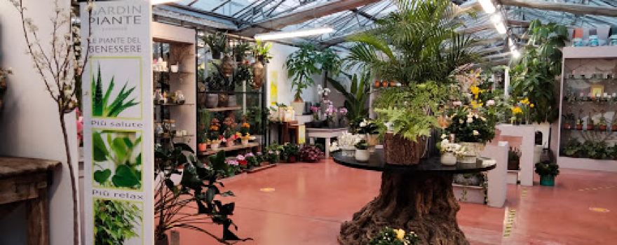 Vivai Gardin Piante