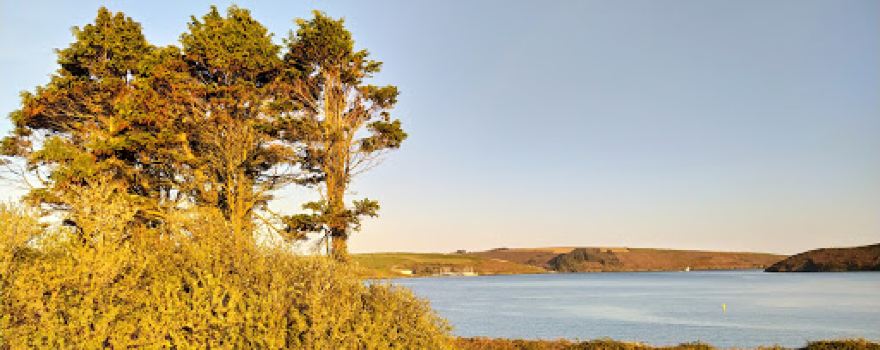 Dock Beach