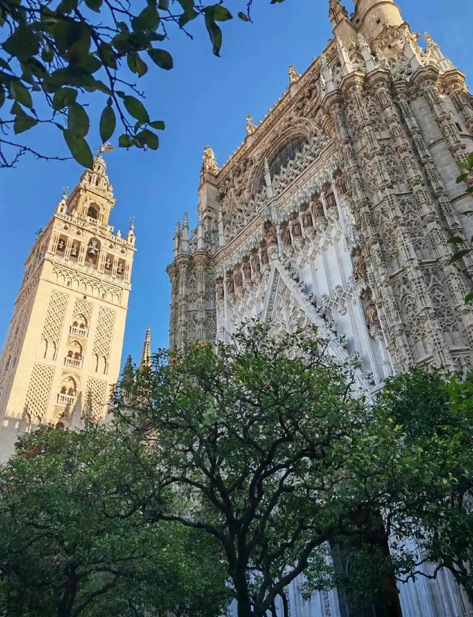 3_Giralda Mora