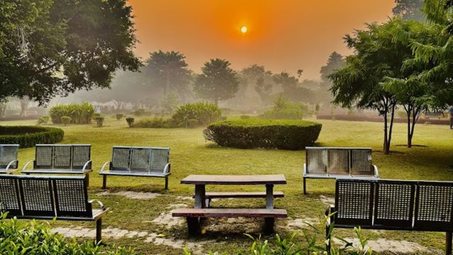 Japanese Park : Swarn Jayanti Park