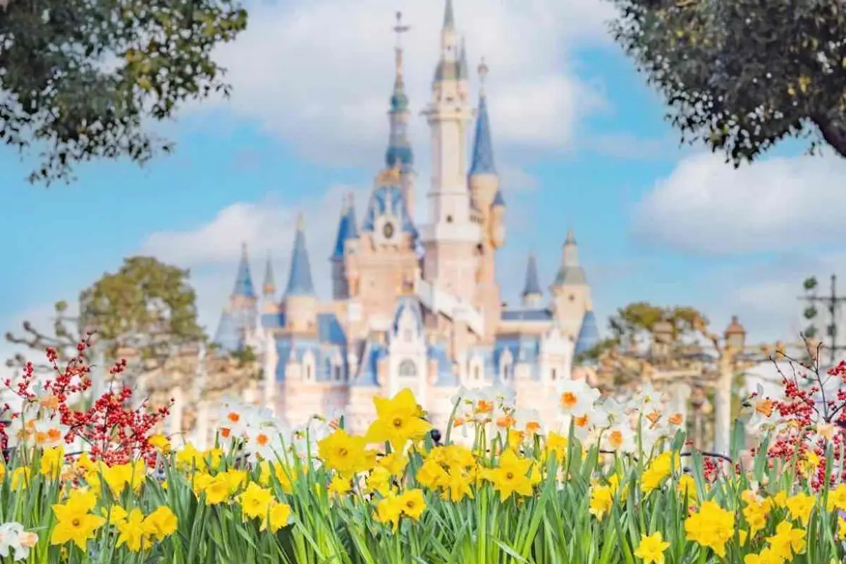 상하이 디즈니랜드 혼잡도 패턴