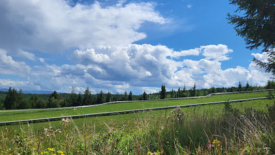 Bob - Alpine Coaster Toplita