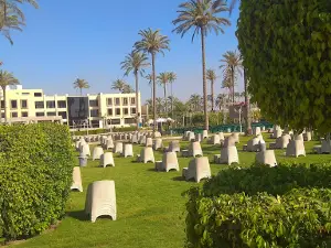 Rio Club نادي ريو