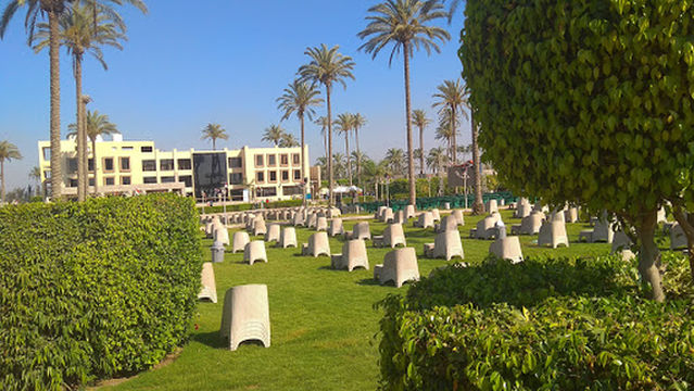 Rio Club نادي ريو