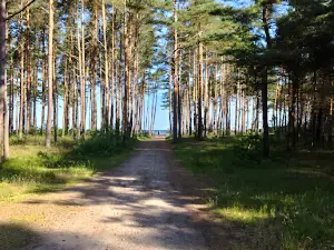 Rusinowo beach