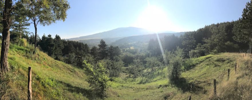 Park Pehčevo
