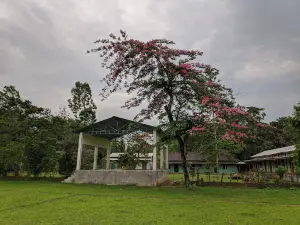 LOWER NISHANGRAM YOUTH CLUB(LNYC) PLAYGROUND