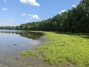 Patoka River National Wildlife Refuge Snakey Point