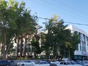 Children's garden