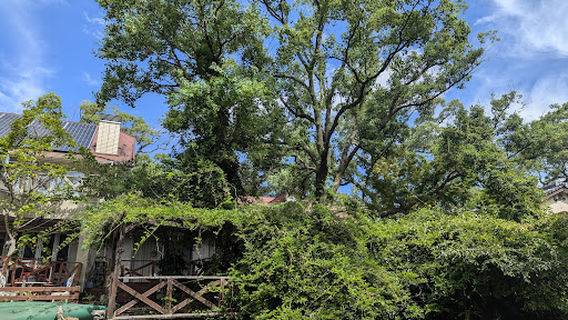 Suigo Yanagawa Kanko