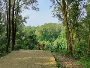 Mohamaya Irrigation Dam Regulator