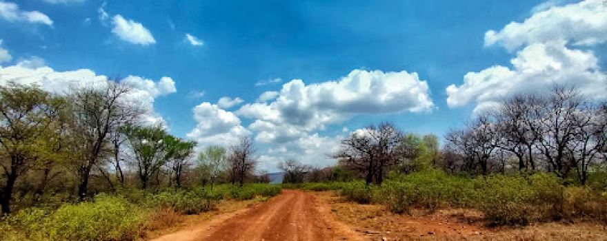 Kuno National Park