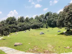 RR Garden