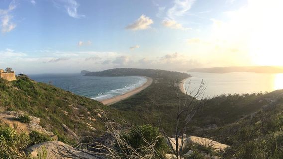 Palm Beach