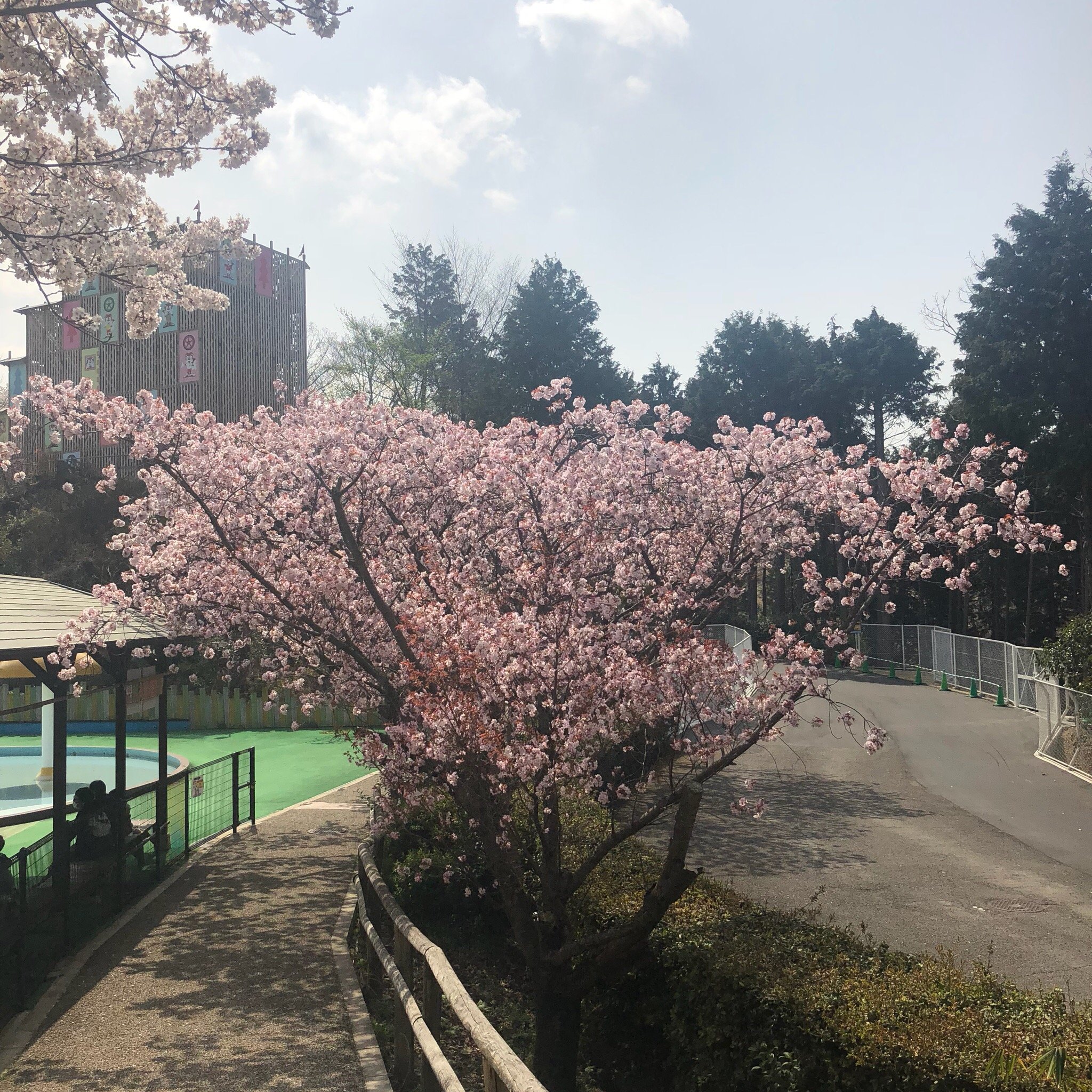 大阪 河内長野 関西サイクルスポーツセンター 入場Eチケット＋パス 予約