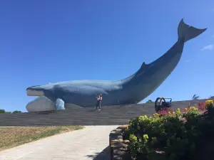 Ocean Park Władysławowo