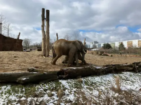 Zoologischer Garten Magdeburg