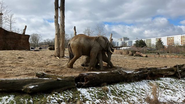 Zoologischer Garten Magdeburg