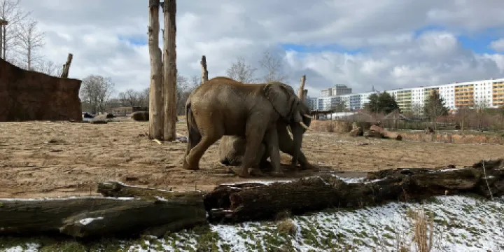 Zoologischer Garten Magdeburg