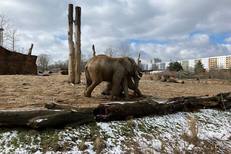 Zoologischer Garten Magdeburg