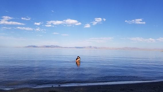 Willard Bay State Park
