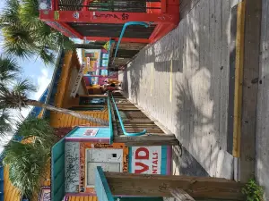 Gator Beach - The World's Greatest Alligator Park