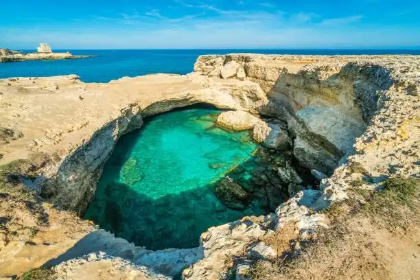 Roca