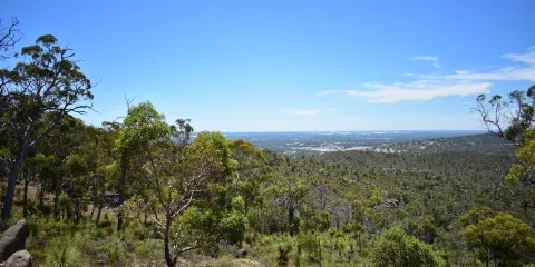 約翰森林國家公園